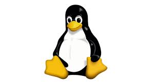 IP address of Linux /Windows machine